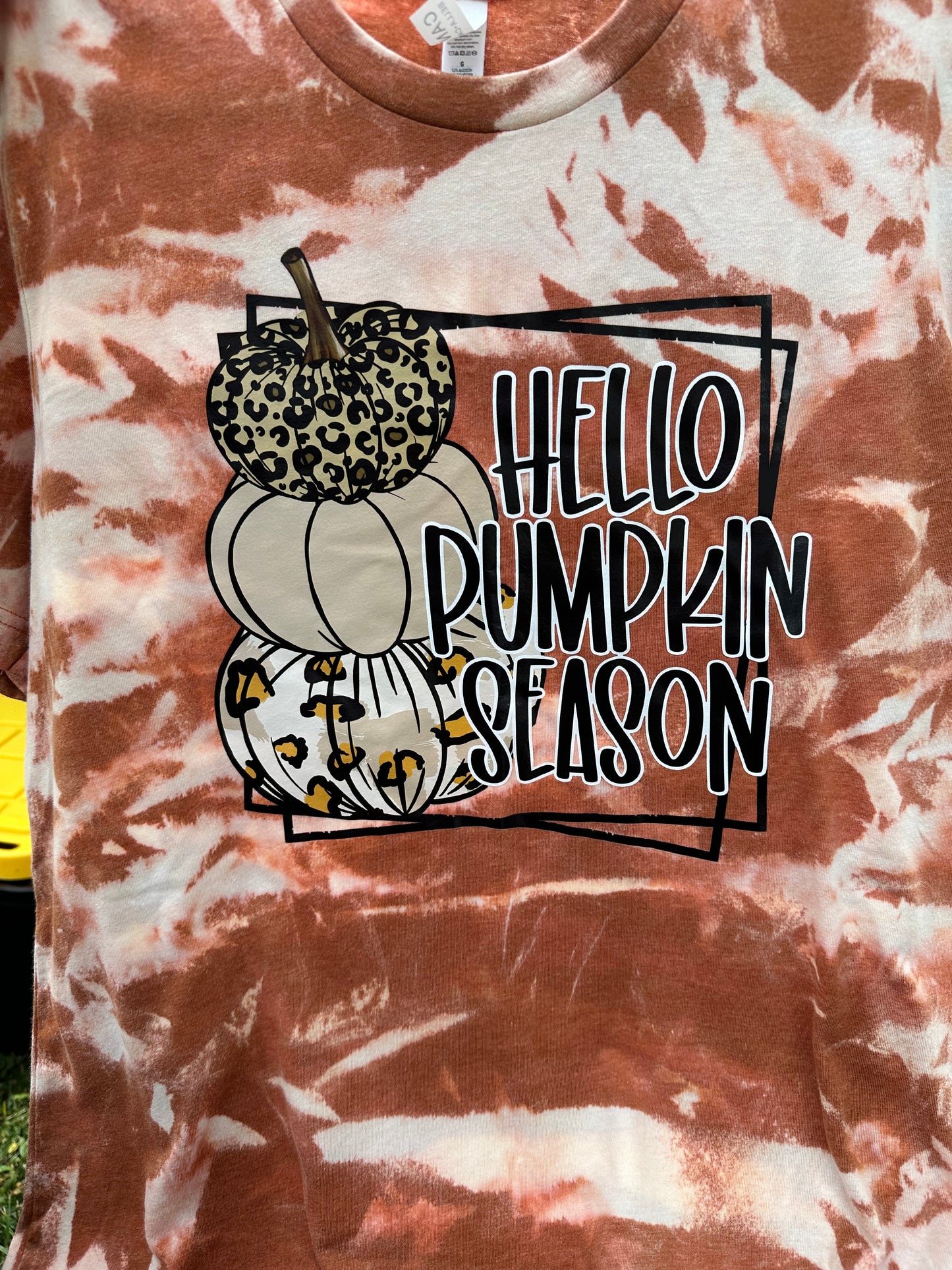 Hello Pumpkin Season T-Shirt- screen print